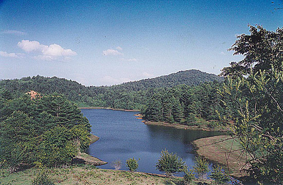 亮山生態(tài)度假旅游