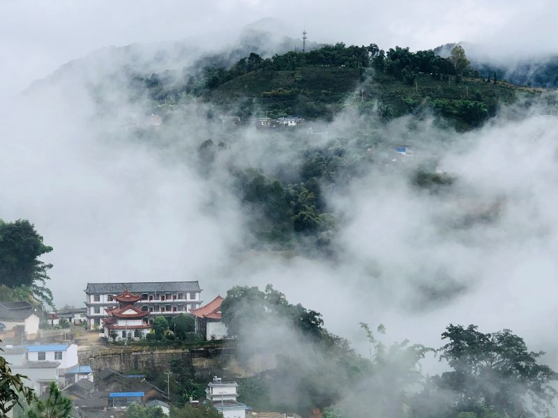 千年古茶之鄉(xiāng) 醉美山水漫灣