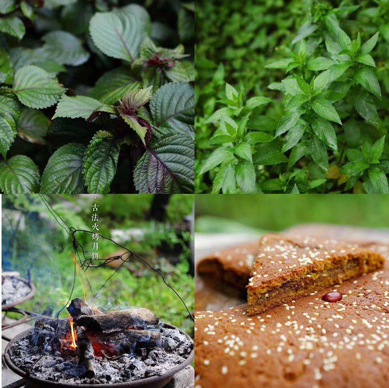 火把節(jié)，我在茶馬古道驛站哨街等您