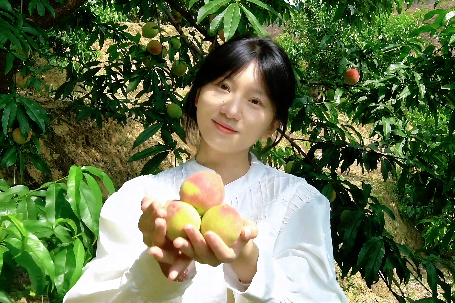 茂蘭鎮(zhèn)三月桃：一口咬開(kāi)夏日里的甜蜜暴擊